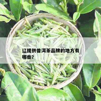 辽提供普洱茶品牌的地方有哪些？