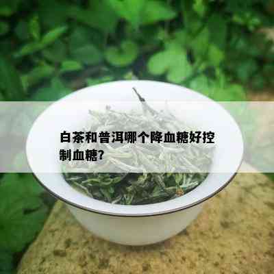 白茶和普洱哪个降血糖好控制血糖？