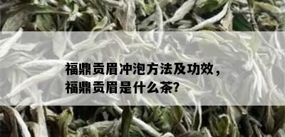 福鼎贡眉冲泡方法及功效，福鼎贡眉是什么茶？