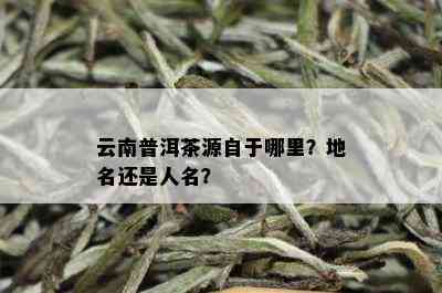 云南普洱茶源自于哪里？地名还是人名？