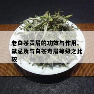 老白茶贡眉的功效与作用、禁忌及与白茶寿眉等级之比较