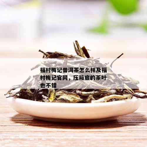 福村梅记普洱茶怎么样及福村梅记官网，压箱底的茶叶也不错