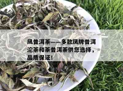 凤普洱茶——多款凤牌普洱沱茶和茶普洱茶供您选择，品质保证！