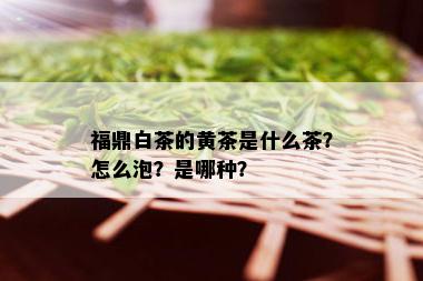 福鼎白茶的黄茶是什么茶？怎么泡？是哪种？