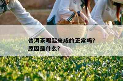 普洱茶喝起来咸的正常吗？原因是什么？