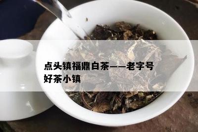 点头镇福鼎白茶——老字号好茶小镇