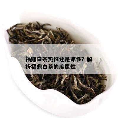 福鼎白茶热性还是凉性？解析福鼎白茶的度属性