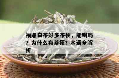 福鼎白茶好多茶梗，能喝吗？为什么有茶梗？术语全解析