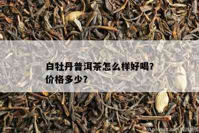 白牡丹普洱茶怎么样好喝？价格多少？