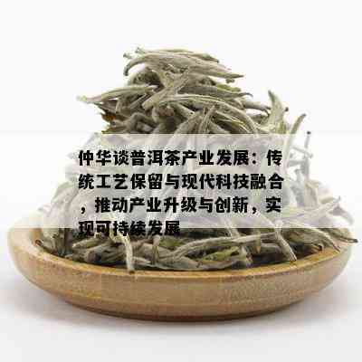 仲华谈普洱茶产业发展：传统工艺保留与现代科技融合，推动产业升级与创新，实现可持续发展