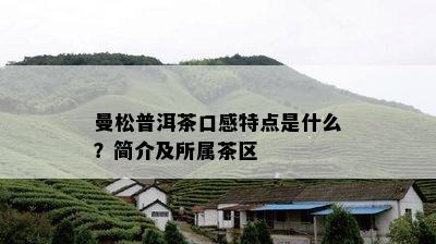 曼松普洱茶口感特点是什么？简介及所属茶区