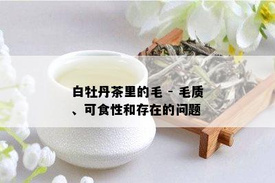 白牡丹茶里的毛 - 毛质、可食性和存在的问题