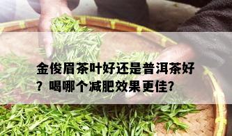 金俊眉茶叶好还是普洱茶好？喝哪个减肥效果更佳？