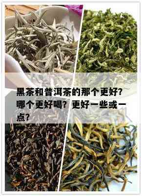 黑茶和普洱茶的那个更好？哪个更好喝？更好一些或一点？