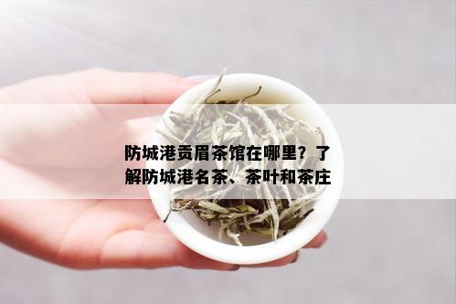 防城港贡眉茶馆在哪里？了解防城港名茶、茶叶和茶庄