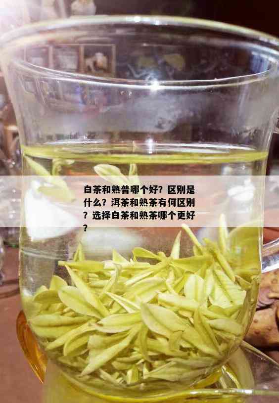 白茶和熟普哪个好？区别是什么？洱茶和熟茶有何区别？选择白茶和熟茶哪个更好？