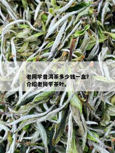 老同学普洱茶多少钱一盒？介绍老同学茶叶。