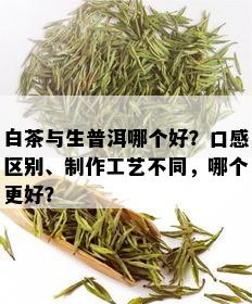 白茶与生普洱哪个好？口感区别、制作工艺不同，哪个更好？