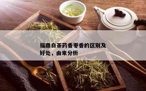 福鼎白茶香枣香的区别及好处，由来分析