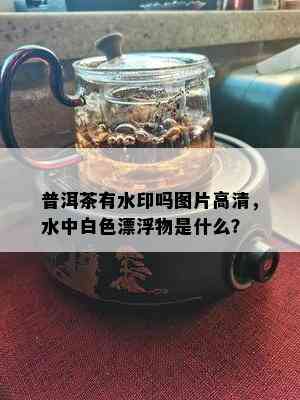 普洱茶有水印吗图片高清，水中白色漂浮物是什么？