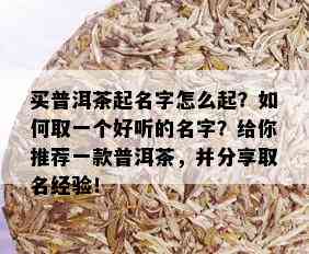 买普洱茶起名字怎么起？如何取一个好听的名字？给你推荐一款普洱茶，并分享取名经验！