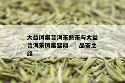 大益凤集普洱茶熟茶与大益普洱茶凤集鸾翔——品茶之旅