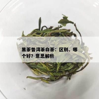 黑茶普洱茶白茶：区别、哪个好？意思解析