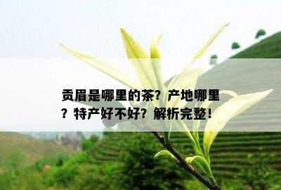 贡眉是哪里的茶？产地哪里？特产好不好？解析完整！