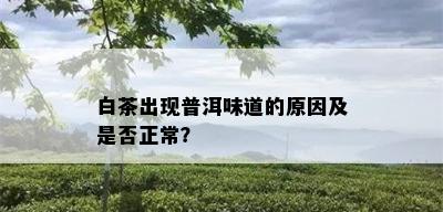 白茶出现普洱味道的原因及是否正常？