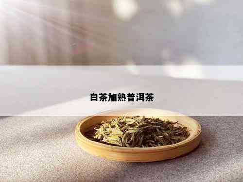 白茶加熟普洱茶