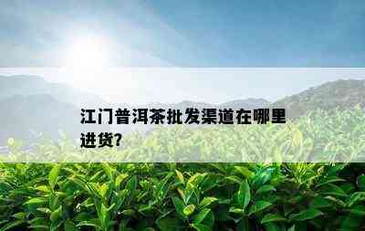 江门普洱茶批发渠道在哪里进货？