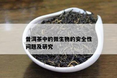 普洱茶中的微生物的安全性问题及研究