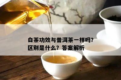 白茶功效与普洱茶一样吗？区别是什么？答案解析