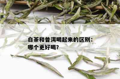 白茶和普洱喝起来的区别：哪个更好喝？