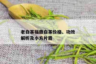 老白茶福鼎白茶价格、功效解析及小方片眉