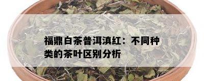 福鼎白茶普洱滇红：不同种类的茶叶区别分析