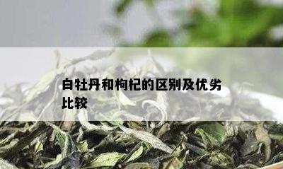 白牡丹和枸杞的区别及优劣比较