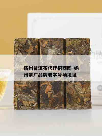 扬州普洱茶代理招商网-扬州茶厂品牌老字号场地址