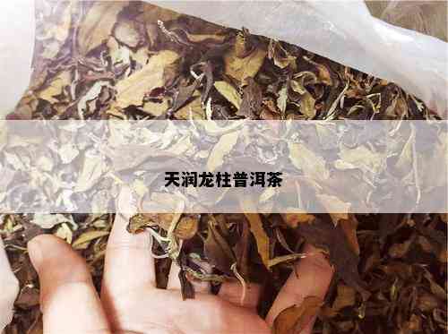 天润龙柱普洱茶