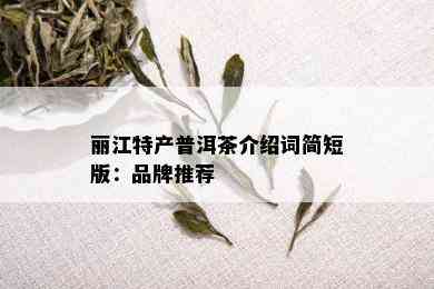 丽江特产普洱茶介绍词简短版：品牌推荐