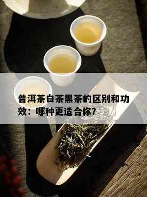 普洱茶白茶黑茶的区别和功效：哪种更适合你？