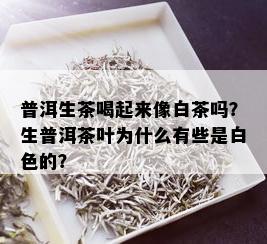 普洱生茶喝起来像白茶吗？生普洱茶叶为什么有些是白色的？