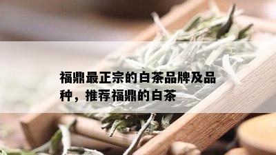 福鼎最正宗的白茶品牌及品种，推荐福鼎的白茶