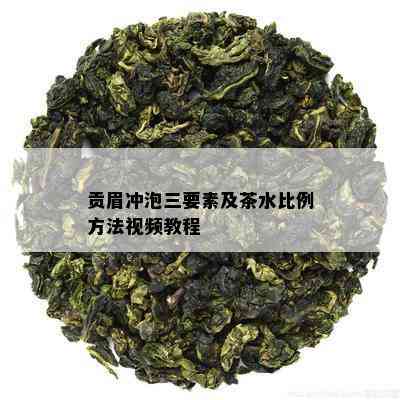 贡眉冲泡三要素及茶水比例方法视频教程