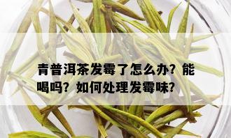 青普洱茶发霉了怎么办？能喝吗？如何处理发霉味？