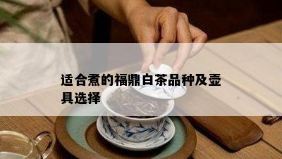 适合煮的福鼎白茶品种及壶具选择