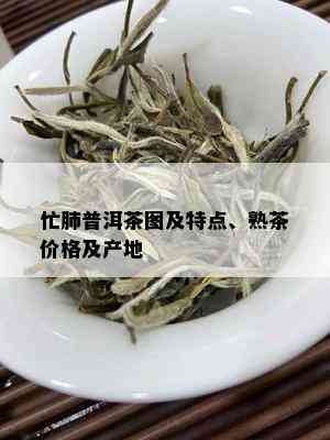 忙肺普洱茶图及特点、熟茶价格及产地