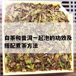 白茶和普洱一起泡的功效及搭配煮茶方法