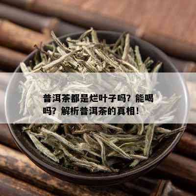 普洱茶都是烂叶子吗？能喝吗？解析普洱茶的真相！