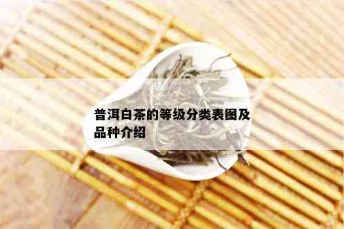 普洱白茶的等级分类表图及品种介绍